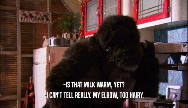 -IS THAT MILK WARM, YET?
 -I CAN'T TELL REALLY. MY ELBOW, TOO HAIRY.
 