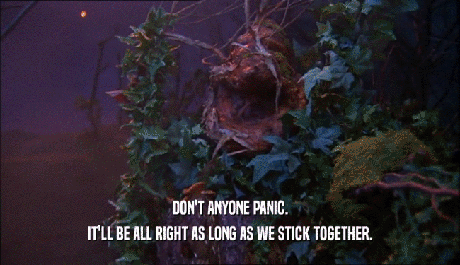 DON'T ANYONE PANIC. IT'LL BE ALL RIGHT AS LONG AS WE STICK TOGETHER. 