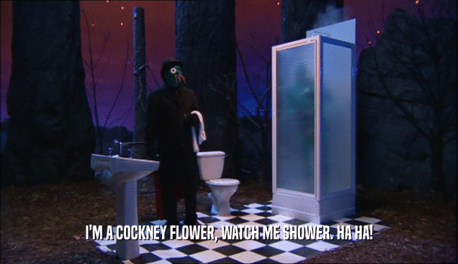 I'M A COCKNEY FLOWER, WATCH ME SHOWER. HA HA!  