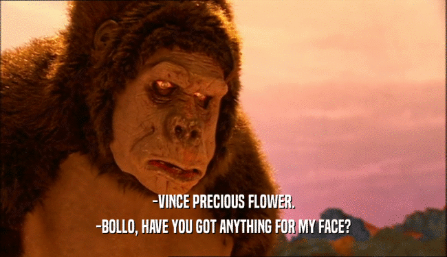 -VINCE PRECIOUS FLOWER. -BOLLO, HAVE YOU GOT ANYTHING FOR MY FACE? 