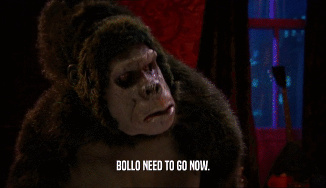 BOLLO NEED TO GO NOW.  