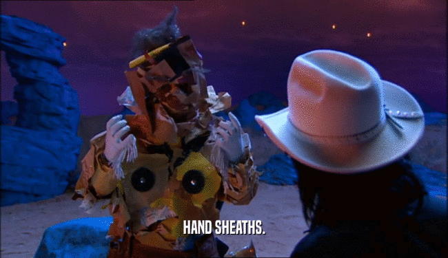 HAND SHEATHS.  