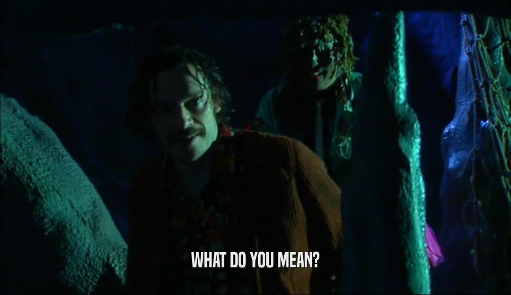 WHAT DO YOU MEAN?  