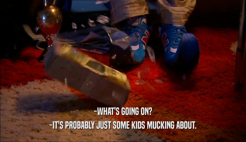 -WHAT'S GOING ON? -IT'S PROBABLY JUST SOME KIDS MUCKING ABOUT. 