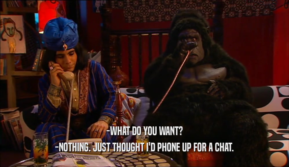 -WHAT DO YOU WANT? -NOTHING. JUST THOUGHT I'D PHONE UP FOR A CHAT. 