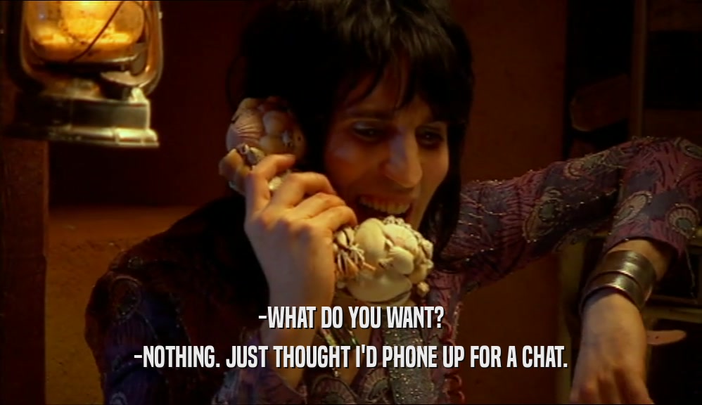 -WHAT DO YOU WANT? -NOTHING. JUST THOUGHT I'D PHONE UP FOR A CHAT. 