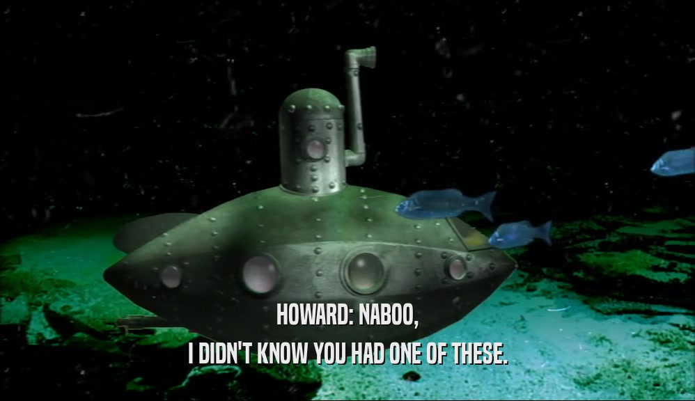 HOWARD: NABOO, I DIDN'T KNOW YOU HAD ONE OF THESE. 