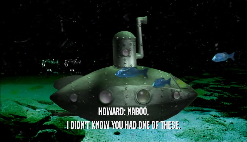 HOWARD: NABOO, I DIDN'T KNOW YOU HAD ONE OF THESE. 