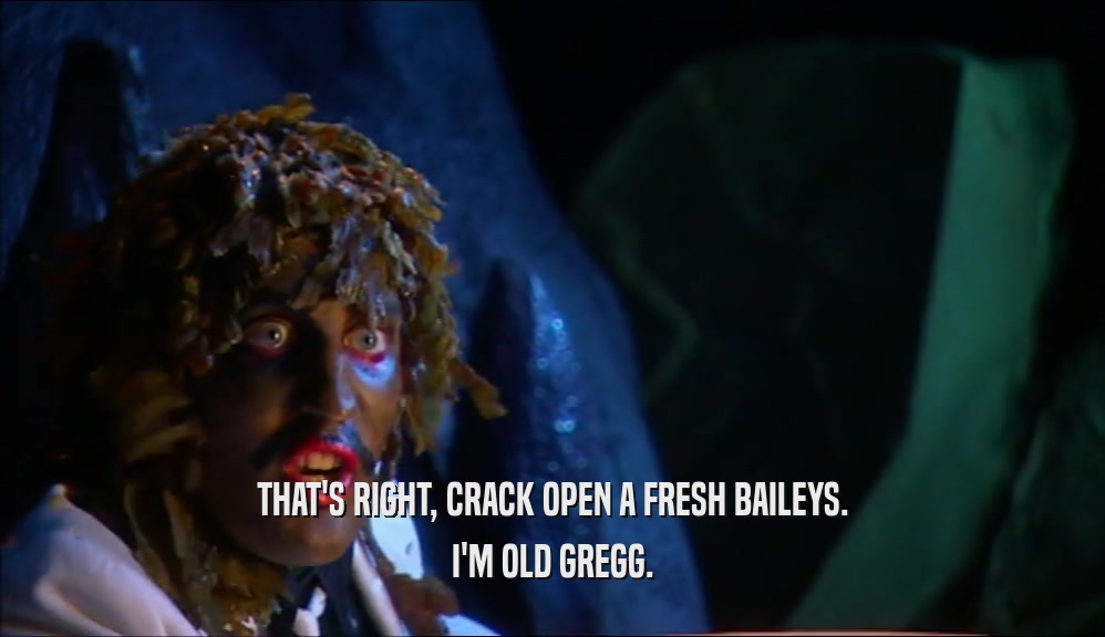 THAT'S RIGHT, CRACK OPEN A FRESH BAILEYS. I'M OLD GREGG. 