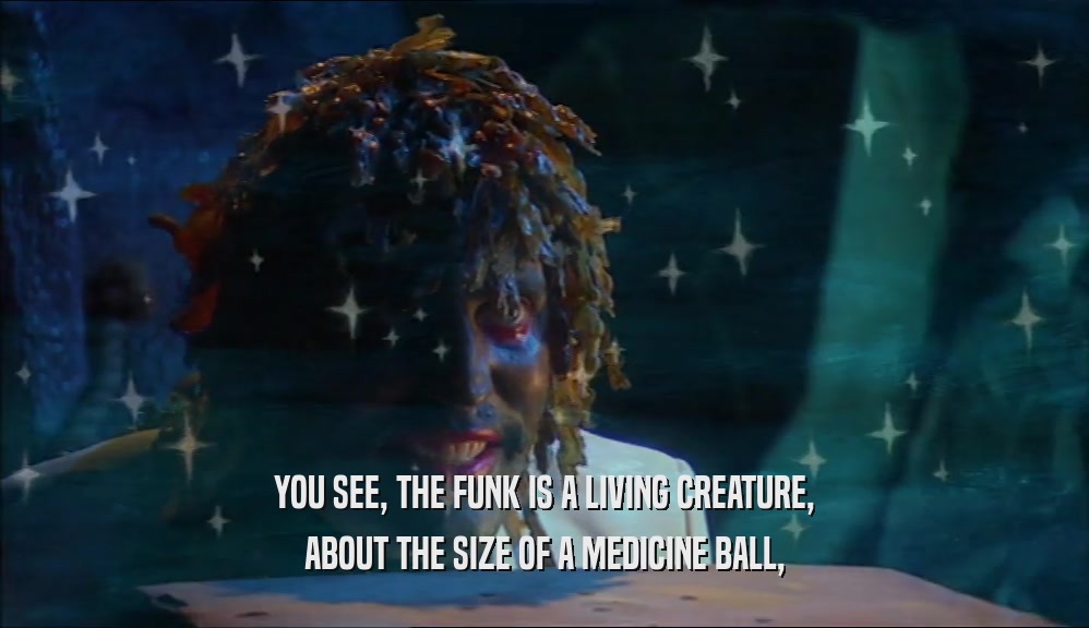 YOU SEE, THE FUNK IS A LIVING CREATURE, ABOUT THE SIZE OF A MEDICINE BALL, 