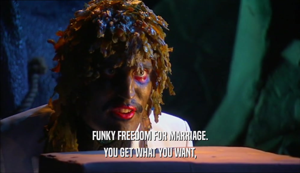 FUNKY FREEDOM FOR MARRIAGE. YOU GET WHAT YOU WANT, 