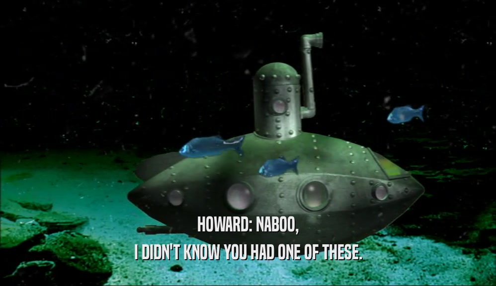 HOWARD: NABOO, I DIDN'T KNOW YOU HAD ONE OF THESE. 