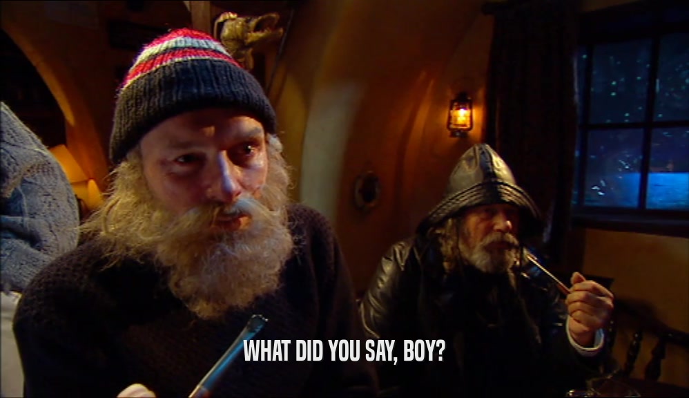 WHAT DID YOU SAY, BOY?  
