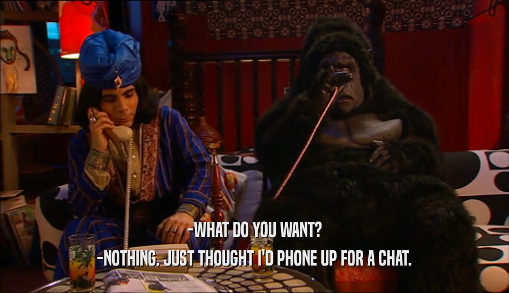-WHAT DO YOU WANT? -NOTHING. JUST THOUGHT I'D PHONE UP FOR A CHAT. 