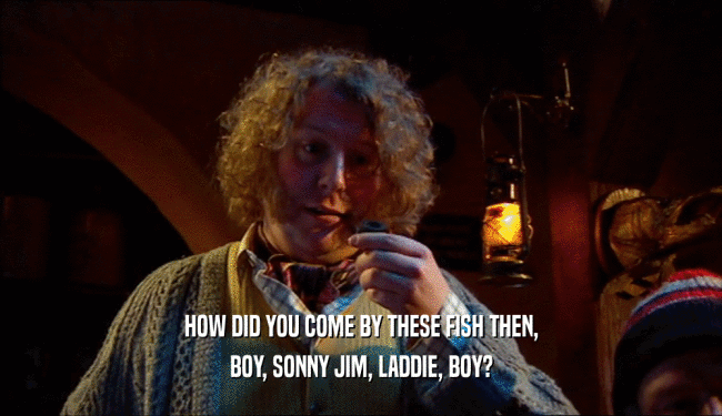 HOW DID YOU COME BY THESE FISH THEN, BOY, SONNY JIM, LADDIE, BOY? 