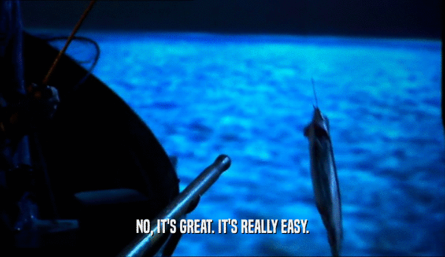NO, IT'S GREAT. IT'S REALLY EASY.  