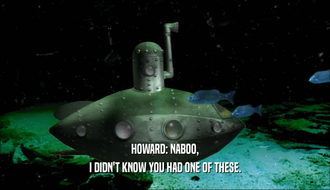 HOWARD: NABOO, I DIDN'T KNOW YOU HAD ONE OF THESE. 