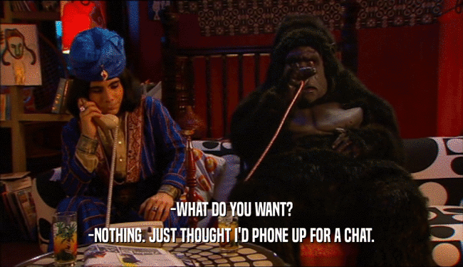 -WHAT DO YOU WANT? -NOTHING. JUST THOUGHT I'D PHONE UP FOR A CHAT. 