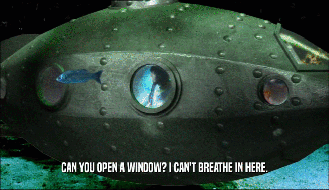 CAN YOU OPEN A WINDOW? I CAN'T BREATHE IN HERE.  