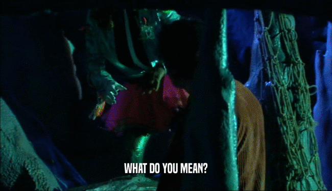 WHAT DO YOU MEAN?  