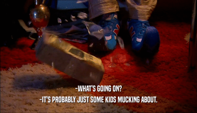 -WHAT'S GOING ON? -IT'S PROBABLY JUST SOME KIDS MUCKING ABOUT. 
