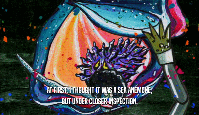 AT FIRST, I THOUGHT IT WAS A SEA ANEMONE,
 BUT UNDER CLOSER INSPECTION,
 