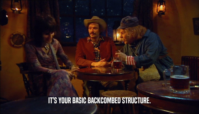 IT'S YOUR BASIC BACKCOMBED STRUCTURE.  