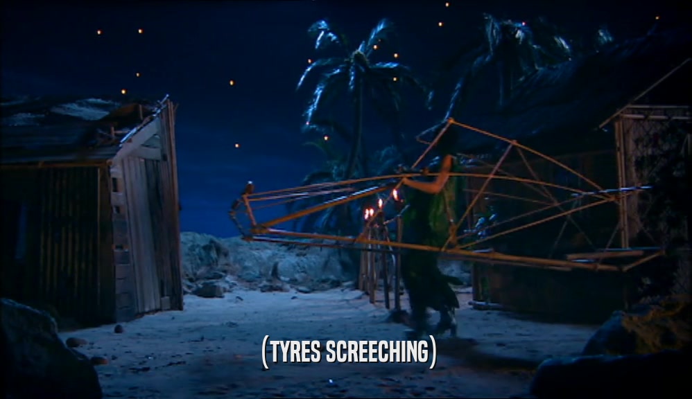 (TYRES SCREECHING)  