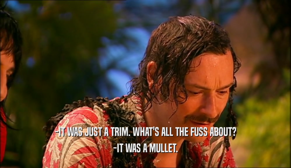 -IT WAS JUST A TRIM. WHAT'S ALL THE FUSS ABOUT? -IT WAS A MULLET. 