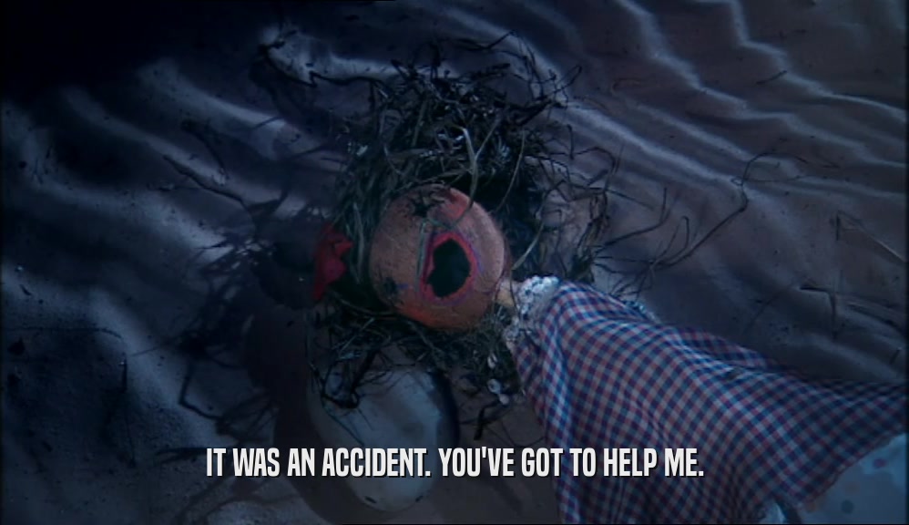 IT WAS AN ACCIDENT. YOU'VE GOT TO HELP ME.  
