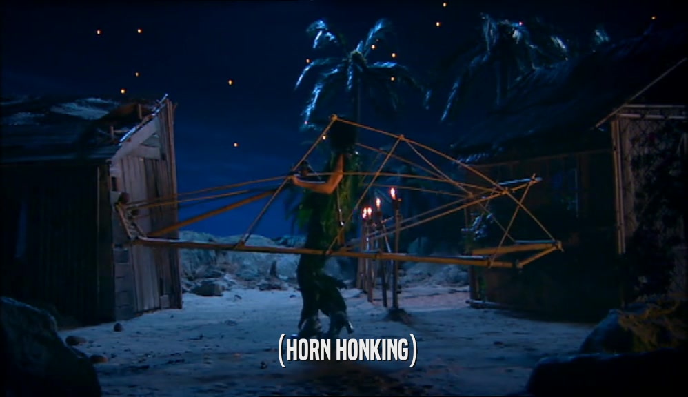 (HORN HONKING)  