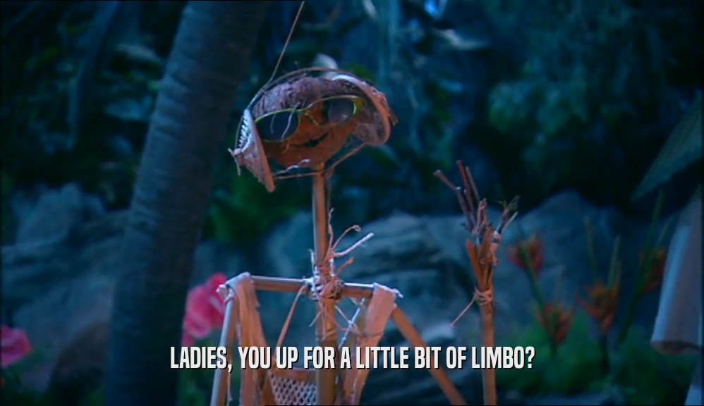 LADIES, YOU UP FOR A LITTLE BIT OF LIMBO?  