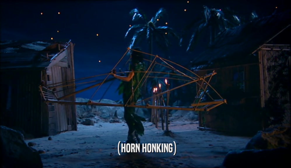 (HORN HONKING)  