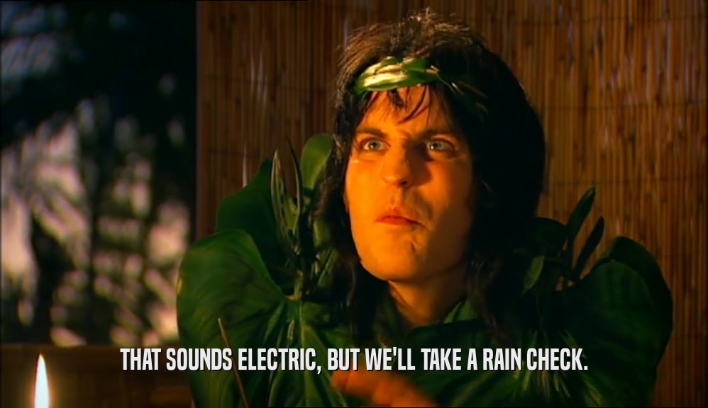 THAT SOUNDS ELECTRIC, BUT WE'LL TAKE A RAIN CHECK.  