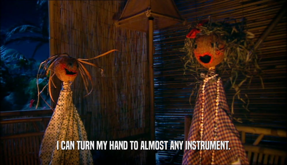 I CAN TURN MY HAND TO ALMOST ANY INSTRUMENT.  