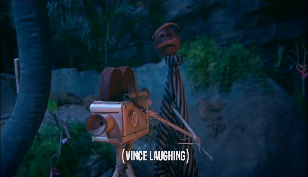 (VINCE LAUGHING)  