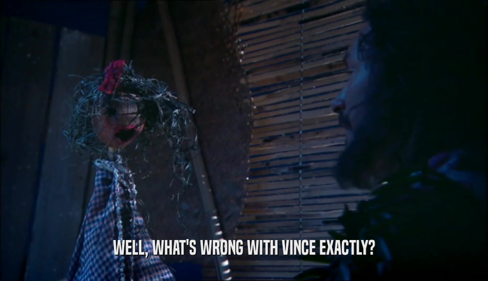 WELL, WHAT'S WRONG WITH VINCE EXACTLY?  
