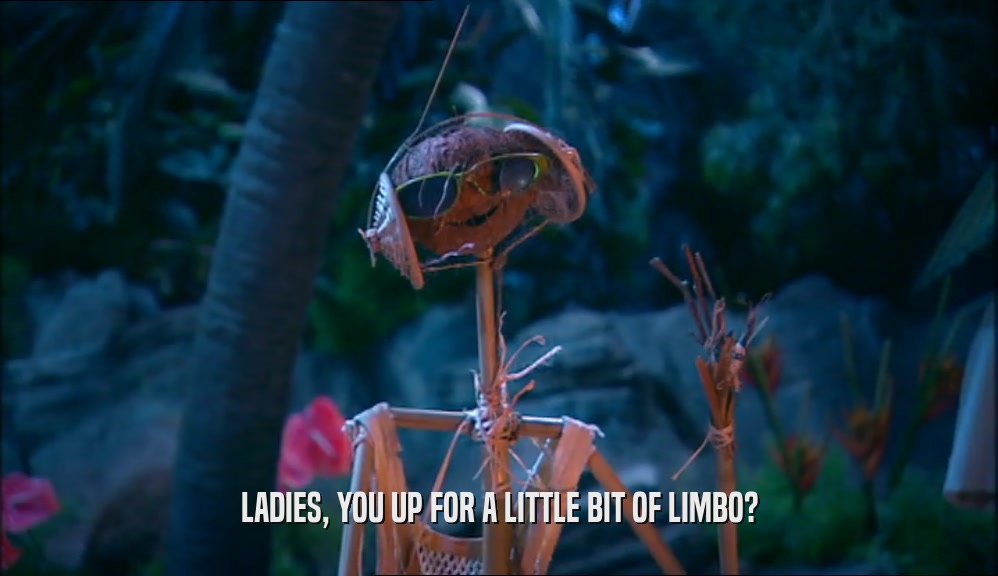 LADIES, YOU UP FOR A LITTLE BIT OF LIMBO?  