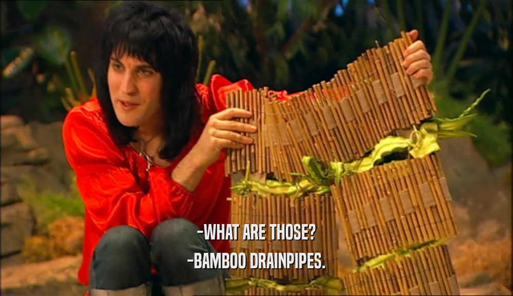 -WHAT ARE THOSE? -BAMBOO DRAINPIPES. 