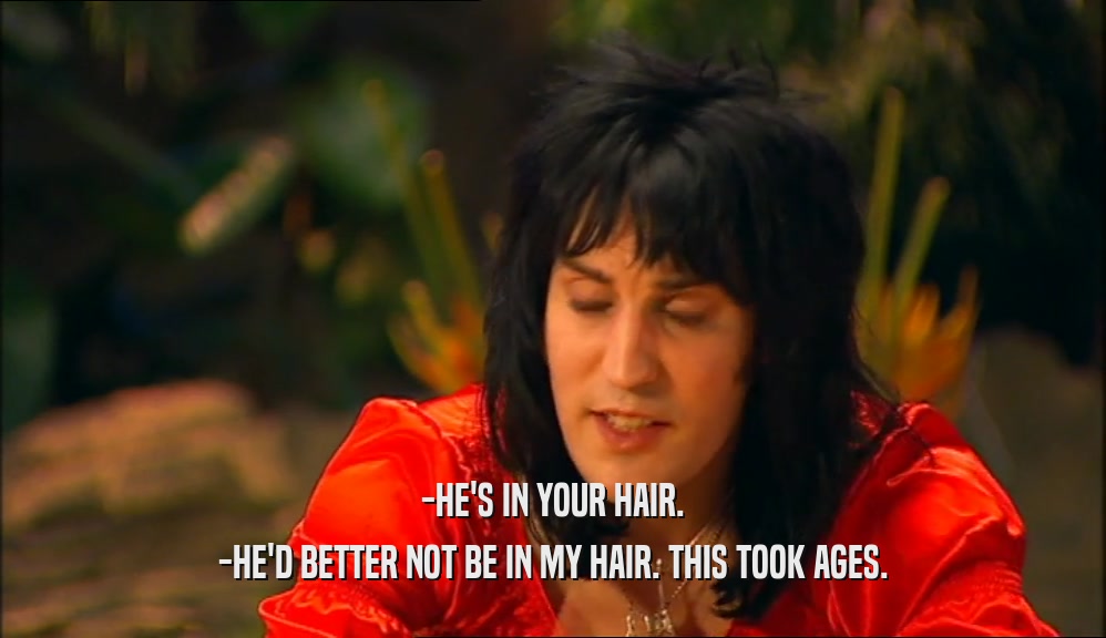 -HE'S IN YOUR HAIR. -HE'D BETTER NOT BE IN MY HAIR. THIS TOOK AGES. 