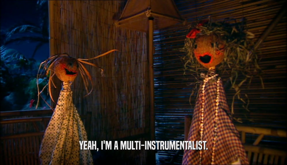 YEAH, I'M A MULTI-INSTRUMENTALIST.  