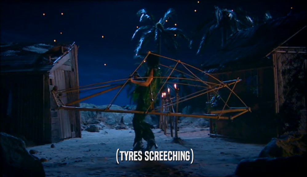(TYRES SCREECHING)  