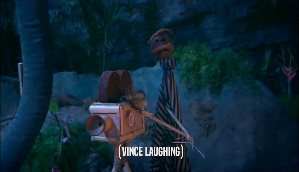 (VINCE LAUGHING)  