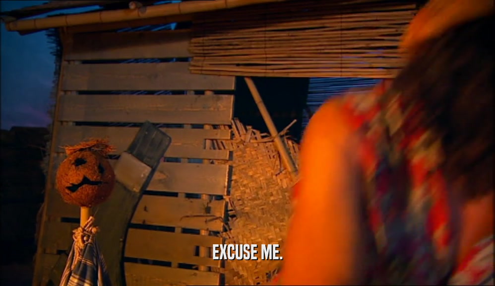 EXCUSE ME.  