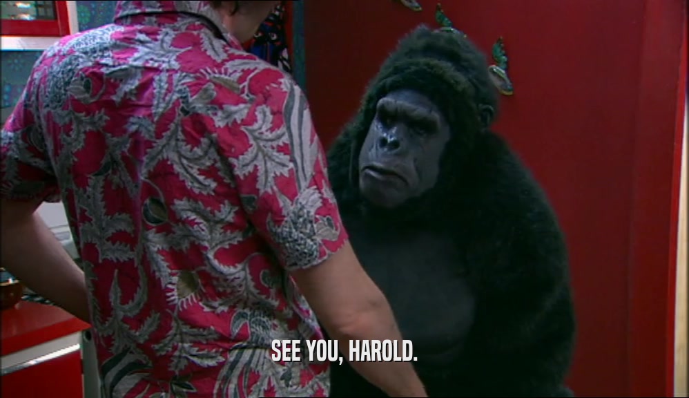 SEE YOU, HAROLD.
  