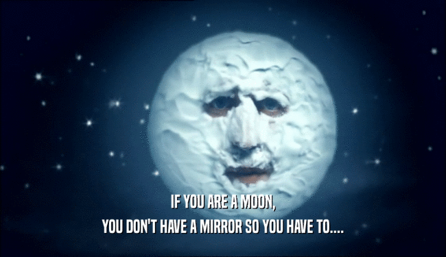 IF YOU ARE A MOON, YOU DON'T HAVE A MIRROR SO YOU HAVE TO.... 