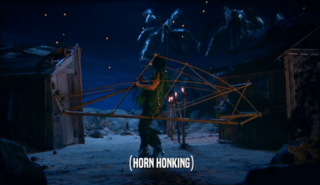 (HORN HONKING)  