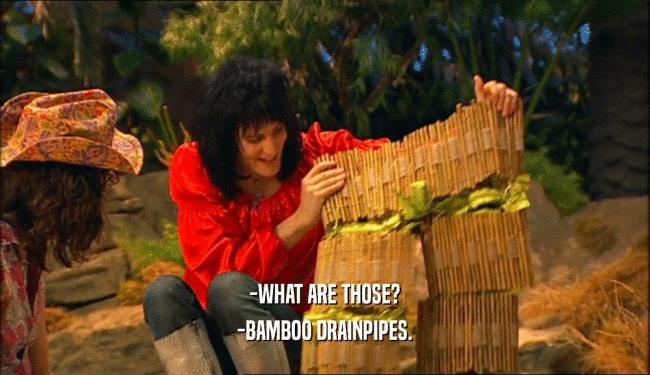 -WHAT ARE THOSE? -BAMBOO DRAINPIPES. 