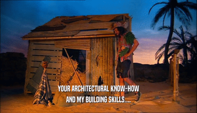 YOUR ARCHITECTURAL KNOW-HOW
 AND MY BUILDING SKILLS....
 