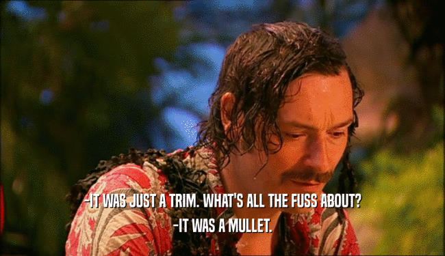 -IT WAS JUST A TRIM. WHAT'S ALL THE FUSS ABOUT? -IT WAS A MULLET. 